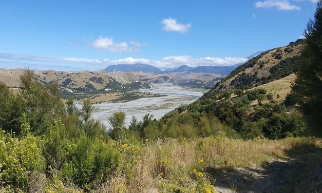 Committee champions water quality in Kaikōura