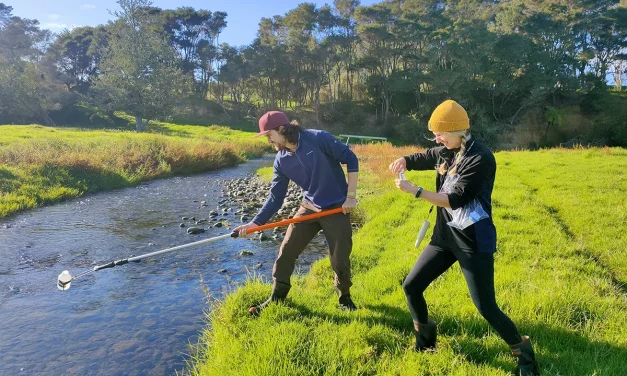 Ground-level community actions for improved water quality