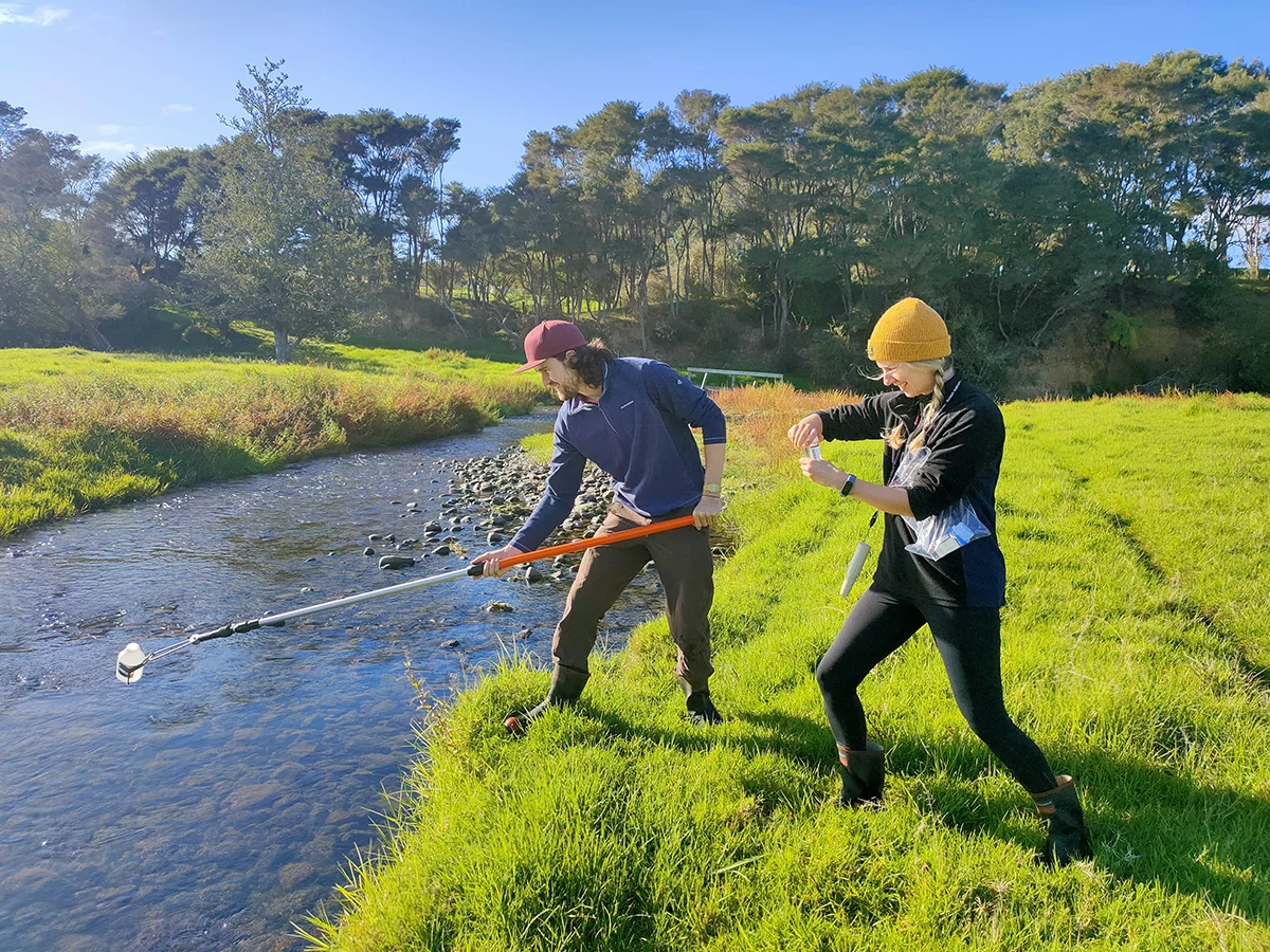 Testing water in the Mangatangi Maramarua Catchment Testing water in the Mangatangi Maramarua Catchment
