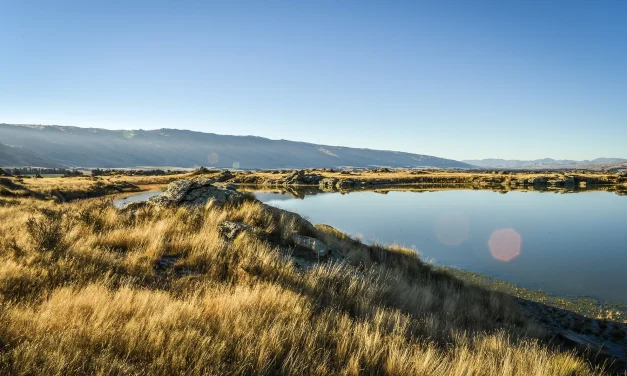 How sharing stories about river restoration can inspire others to take care of waterways