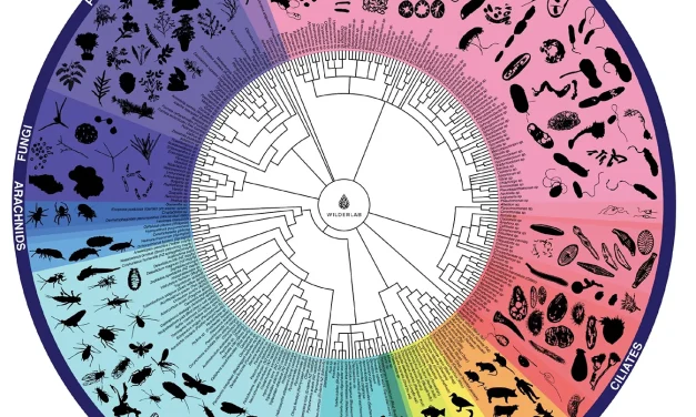 Genetic traces unlock water knowledge