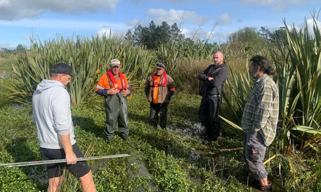Lake restoration gets global spotlight