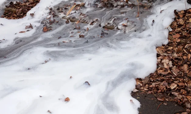 Reduce and remove: the two-pronged approach to the PFAS problem