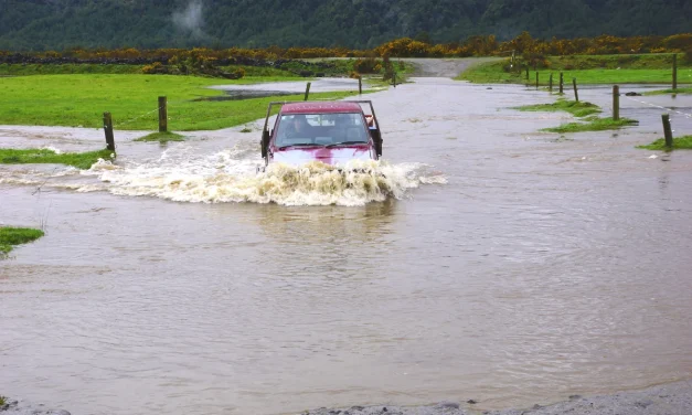 Councils take a nature-based approach to flooding
