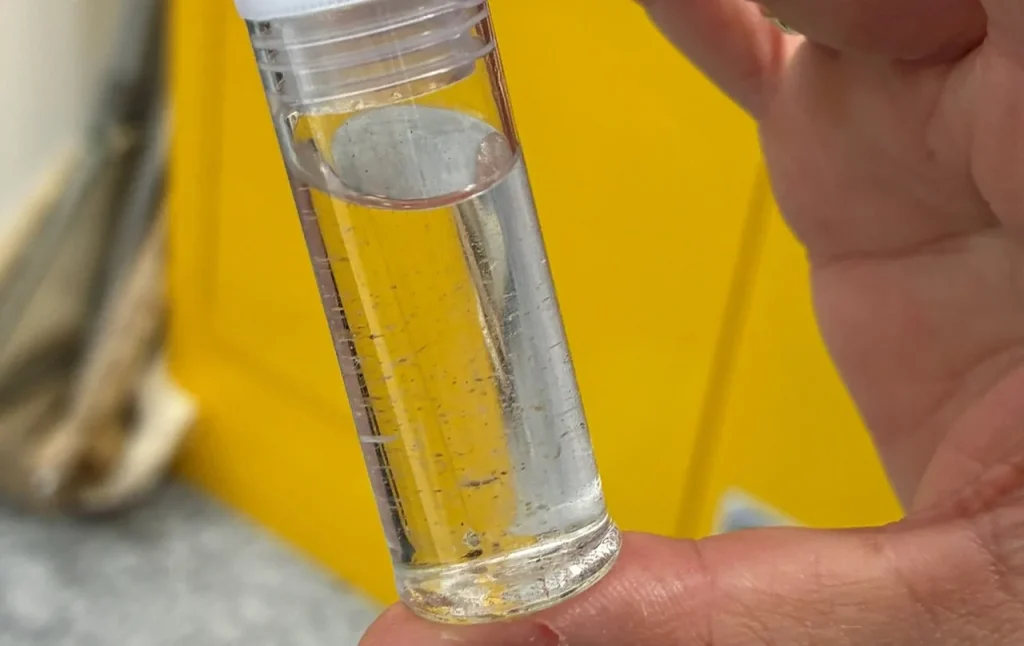 A hand holding a sample vial of water containing baby invasive clams, dubbed the 'vile vial'